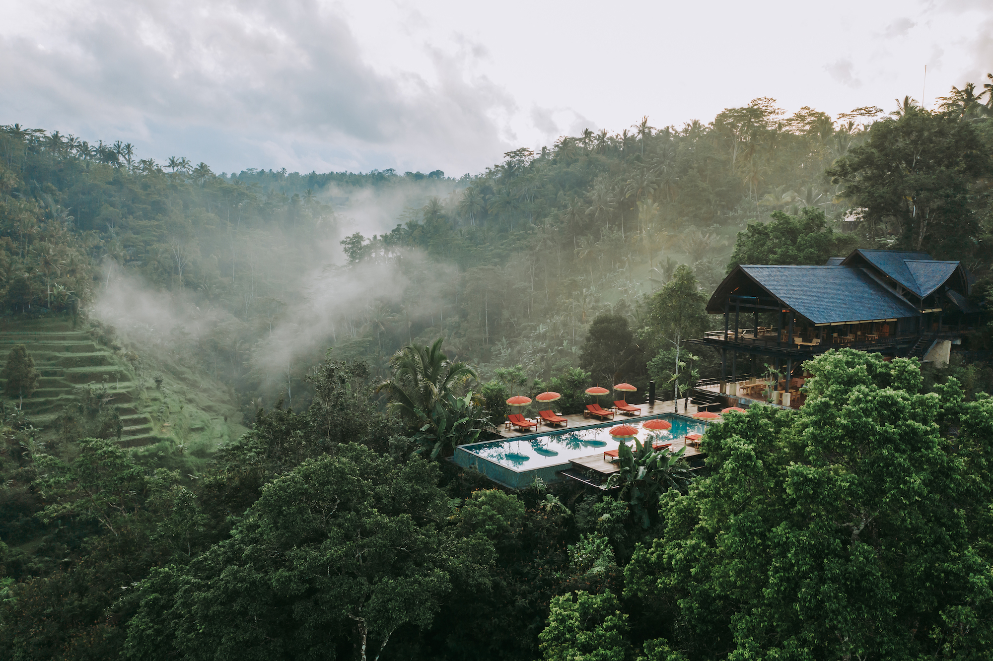 Buahan - Banyan Tree Escape