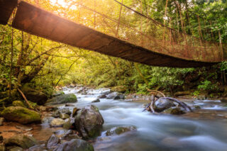 Forest creek in Rincon de la Vieja National Park in Costa Rica