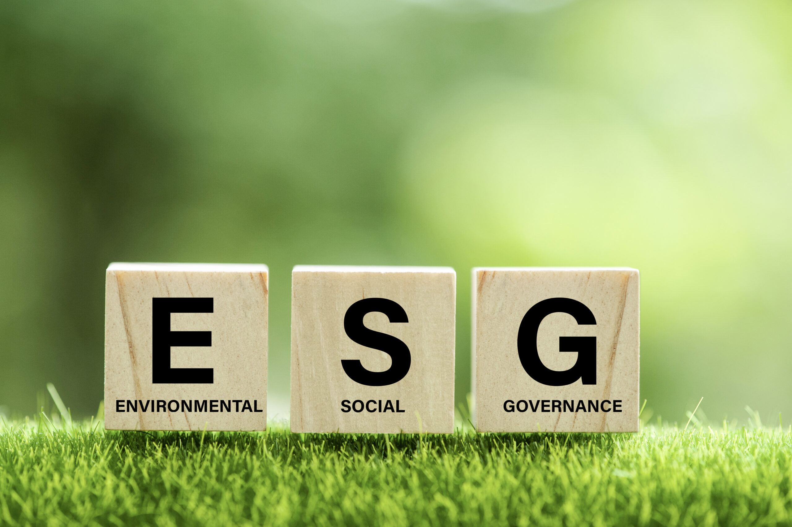 Implementing an ESG plan in the Hotel Sector | Horwath HTL Corporate